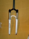 DSC01109.jpg