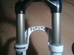 BIELAS 027.jpg