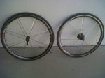 IMG00049-20101018-1642.jpg