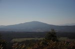 DSC_0111.jpg