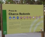 CARTEL.jpg