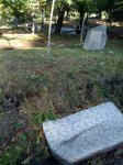 12102010051.jpg