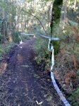 12102010056.jpg