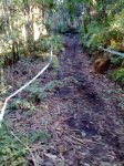 12102010057.jpg