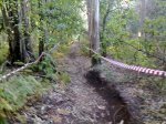 12102010059.jpg