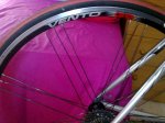 20102010067.jpg