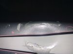 15102010098.jpg