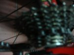DSC04156.jpg