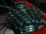 DSC04155.jpg