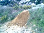 Imagen0119.jpg