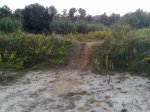 Imagen0118.jpg