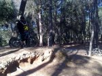 201020101417.jpg