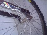 bici4.jpg
