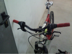 bici.png