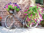 bicicleta_flores[1].jpg