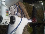 IMG00011-20101020-1936.jpg