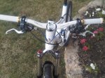 IMG00003-20101020-1932.jpg