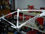 88621076305- cuadro f1.jpg