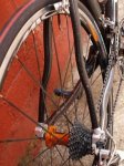 STORCK.MICHE.TRAS.JPG
