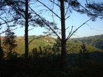 DSC01825a.jpg