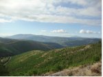 DSC01845a.jpg