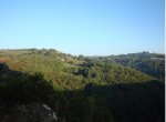DSC01826a.jpg