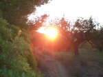 CIMG0664_low.JPG