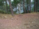 CIMG0648_low.jpg