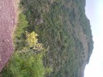 CIMG0657_low.JPG