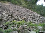 CIMG0653_low.jpg