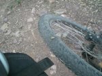 CIMG0651_low.JPG