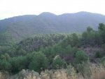 CIMG0630_low.JPG