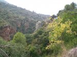 CIMG0658_low.JPG