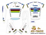 DISEÃO TOMBIKE TOMELLOSO C.C. CAMPEON DEL MUNDO 2010.jpg