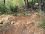 PA210056.jpg