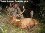 cazado.jpg