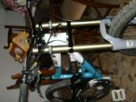 DSC01730.jpg