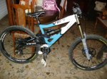 DSC01727.jpg