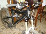 DSC01732.jpg