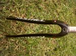 IMG00009-20101022-1300.jpg