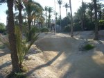 DSCN1566.jpg