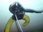 DSC00597.jpg