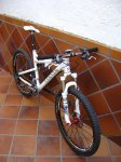 DSC01208.jpg