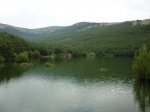 P1010371.jpg