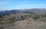 DSC00232.JPG