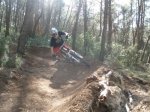 fonty salto nuevo 001.jpg