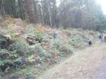 DSCF1499.jpg