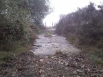 IMG004.jpg
