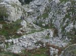 SDC12949.jpg