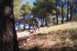Salida Alcublas 22_10_2010 (18).jpg